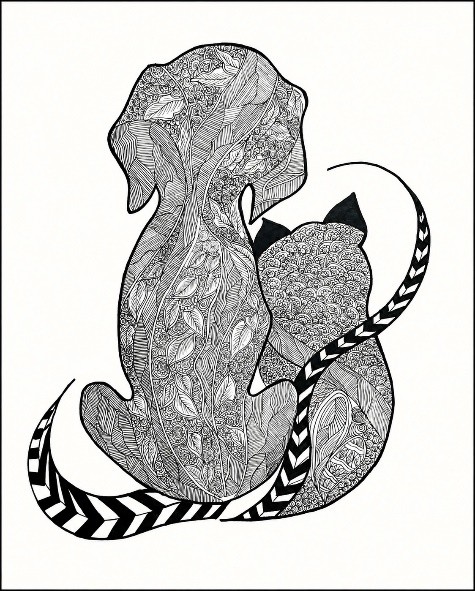 Animal Anthology · Rupa Shetty